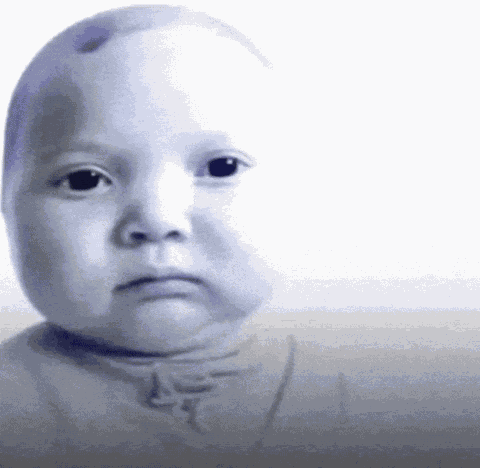Nohalzi GIF