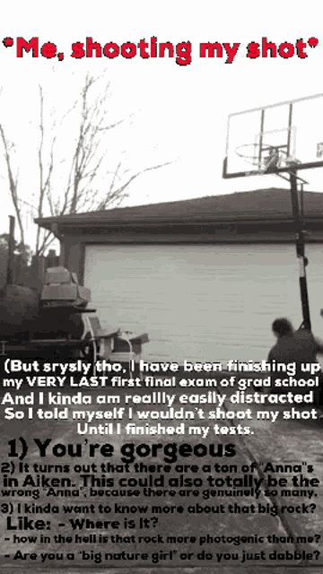 Nomadicturtles 082296 GIF