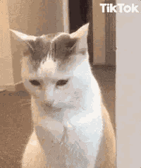 Noooo GIF