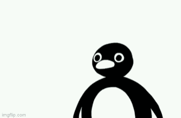 Noot Noot Meme GIF