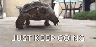 Normal Day Lame GIF