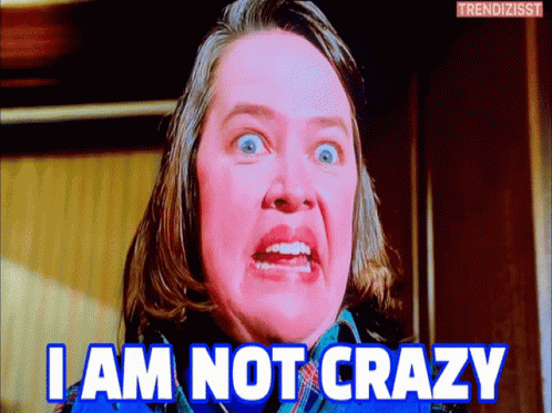Not Crazy Annie Wilkes GIF