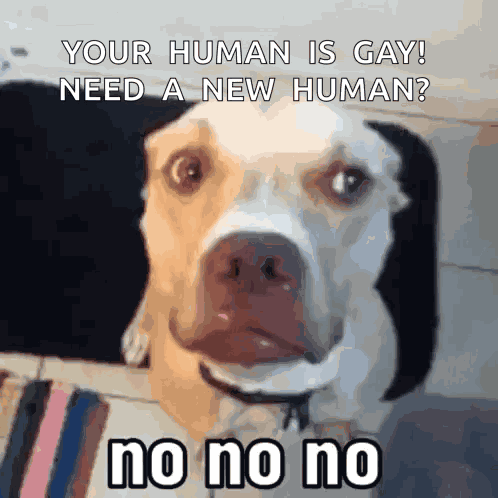 Not Funny Haha Not Funny GIF