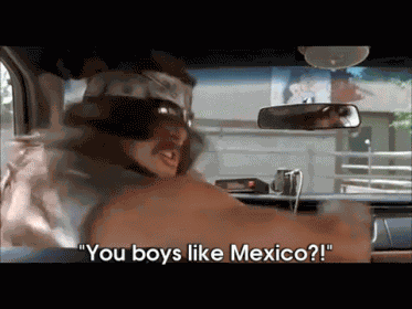 Not In Particular, Why? GIF