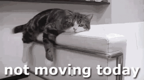 Not Moving Today Couch Potato GIF