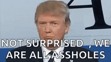 Not Surprised Donald Trump GIF