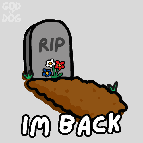 Not Today Im Back GIF