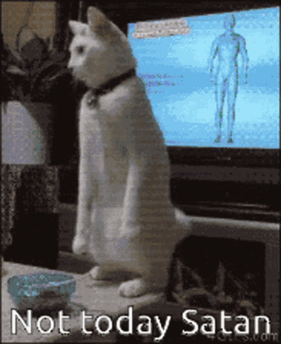 Not Today Satan Cat GIF