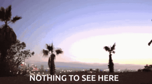 Nothing To See Here Nothing GIF