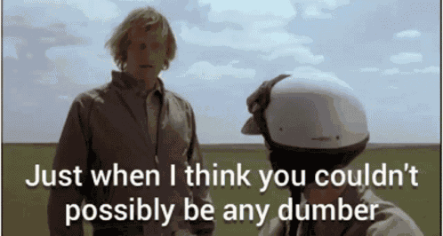 Notsure500 Beany Dumber GIF