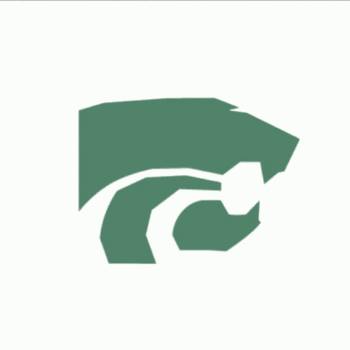 Novi Logo Animated Ronit R GIF