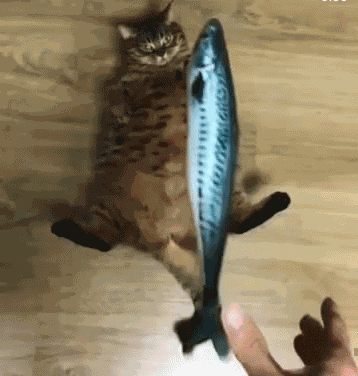 Now That Is A Castfish Haha GIF