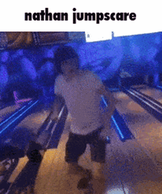 Npesta Nathan Pesta GIF