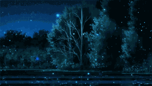 Nuit étoilée GIF