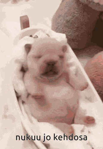 Nukuu Jo Kehdosa GIF