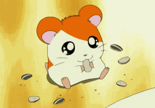 Nuts Hamster GIF