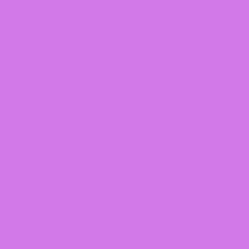 Nyan Nyandog GIF