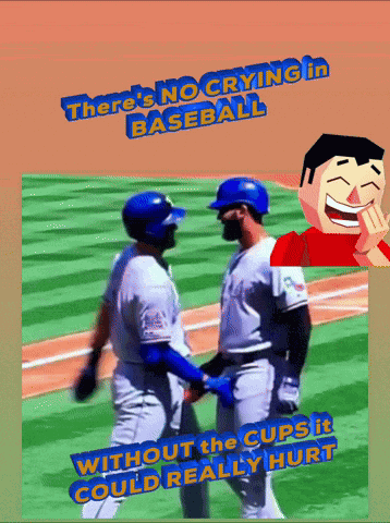Nyc Yankees GIF