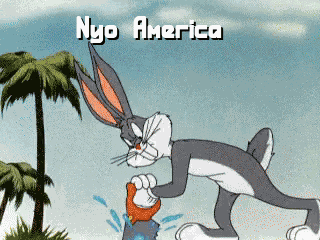 Nyo America Hetalia GIF
