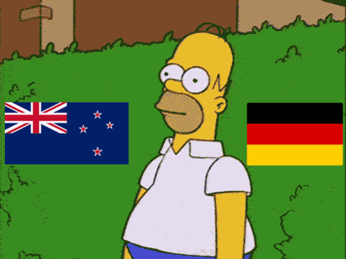 Nz To Germany GIF