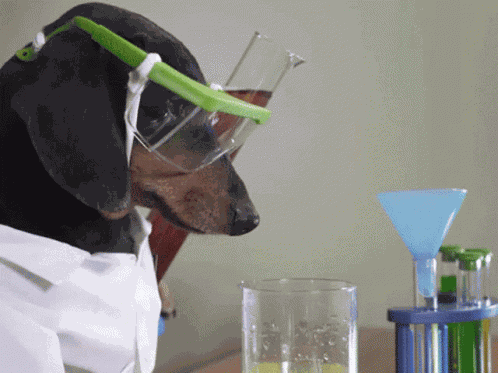 Oakley Sciencedog GIF