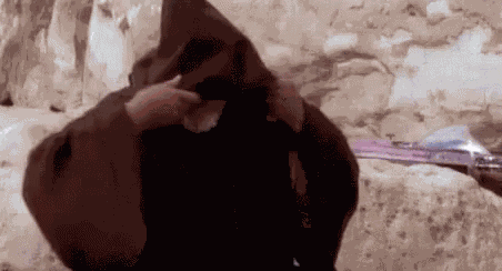 Obiwan Hellothere GIF