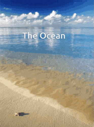 Ocean GIF