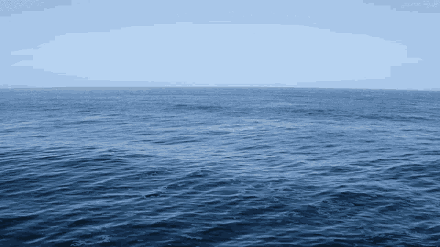 Ocean Sea GIF