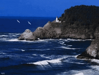 Ocean Sea GIF