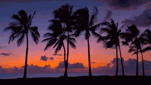 Ocean Sunset GIF