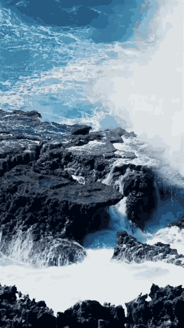 Ocean Wave GIF