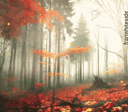 October Is In The Air Falling Leaves GIF