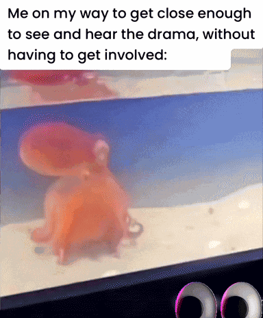 Octopus Squid GIF