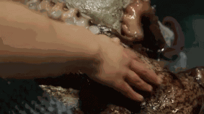 Octopus Tentacles GIF