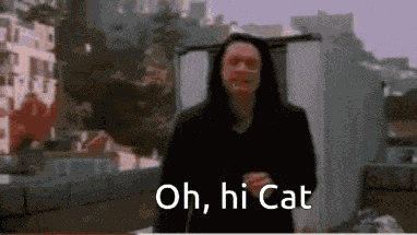 Oh Hi Cat GIF