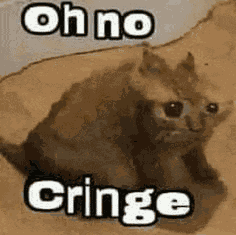 Oh No Cringe Meme Meme