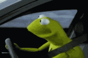 Oh No Kermit GIF