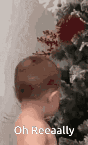 Oh Really Invictus GIF