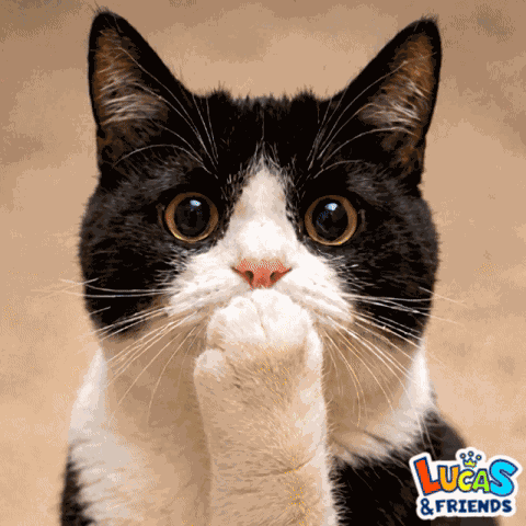 Oh Shit Ohh GIF