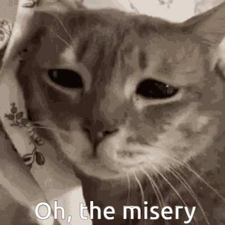 Oh-the-misery Sad-cat GIF