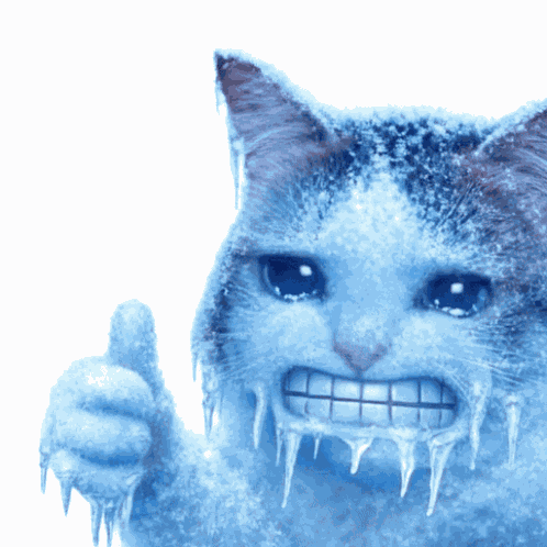 Ok Cat Okay Cat GIF
