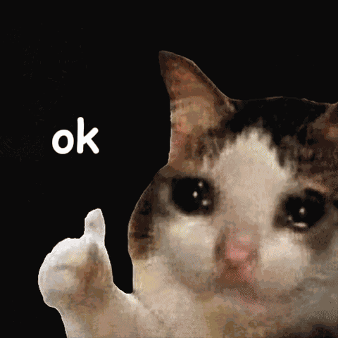 Ok Cat GIF