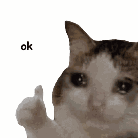 Ok Cat Thumbs Up Cry GIF
