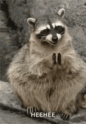 Ok Creep GIF