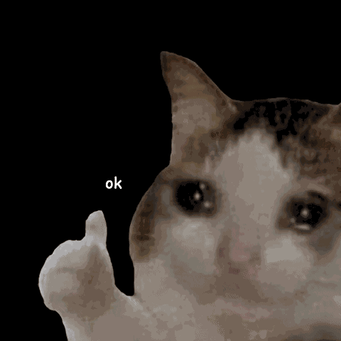 Ok Thumbs Up Ok Cat Thumbs Up GIF