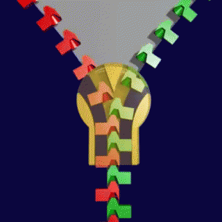 Ok GIF
