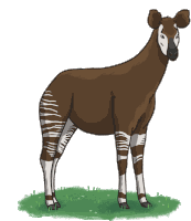 Okapi Sticker