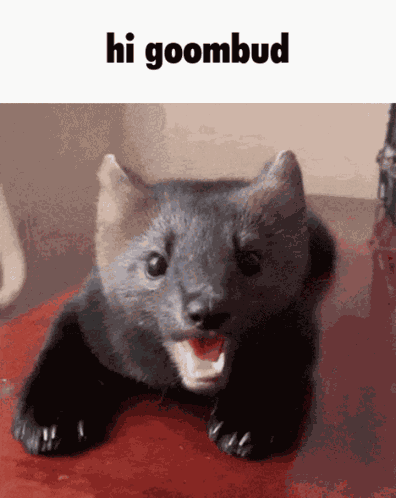 Okbh GIF