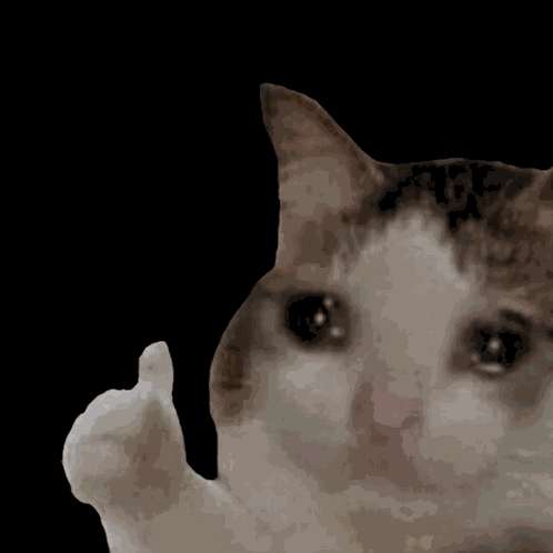 Okcat Minimize GIF