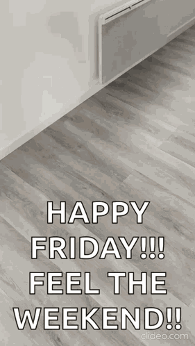Olaf Great Dane GIF